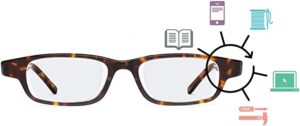 adaptable reading glasses