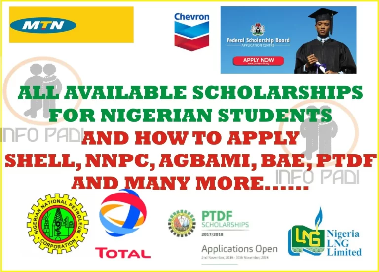 Which scholarship is available now in Nigeria