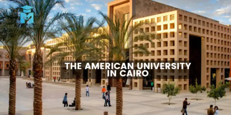 American University In Cairo Scholarships
