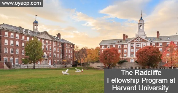 Harvard Radcliffe Institute Scholarships
