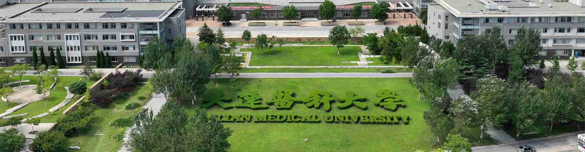 Dalian University Chinese Government Scholarship