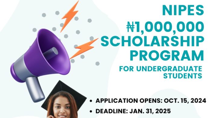 NIPES Engineering and Science Scholarship