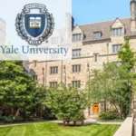 Yale University Undergraduate Internship