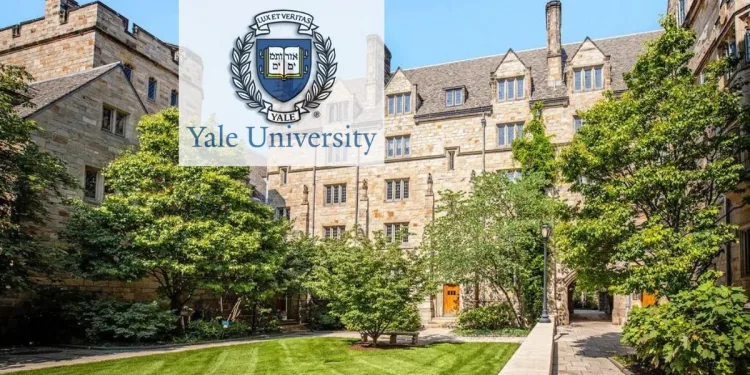 Yale University Undergraduate Internship